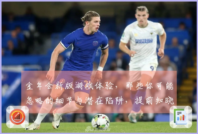 金年会新版游戏体验，那些你可能忽略的细节与潜在陷阱，提前知晓省时省力